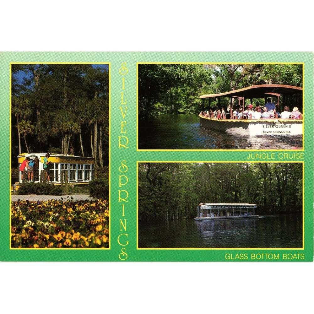 Silver Springs Vintage Postcard Jungle Cruise Glass Bottom Boats Scenic View